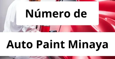 Numero de vendedor de pintura automotriz Auto Paint Minaya