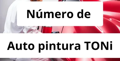 Numero de vendedor de pintura automotriz Auto pintura TONi