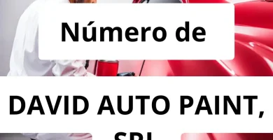 Numero de vendedor de pintura automotriz DAVID AUTO PAINT, SRL