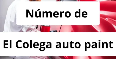Numero de vendedor de pintura automotriz El Colega auto paint