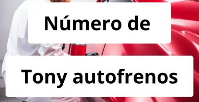 Numero de vendedor de pintura automotriz Tony autofrenos