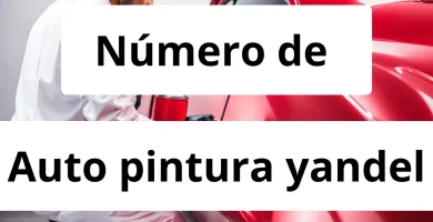 Numero de vendedor de pintura automotriz Auto pintura yandel