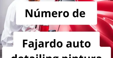 Numero de vendedor de pintura automotriz Fajardo auto detailing pintura automotriz profesional
