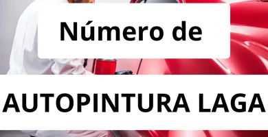Numero de vendedor de pintura automotriz AUTOPINTURA LAGA