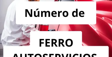 Numero de vendedor de pintura automotriz FERRO AUTOSERVICIOS.