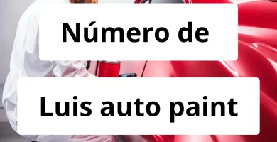 Numero de vendedor de pintura automotriz Luis auto paint