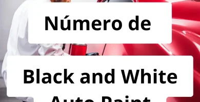 Numero de vendedor de pintura automotriz Black and White Auto Paint