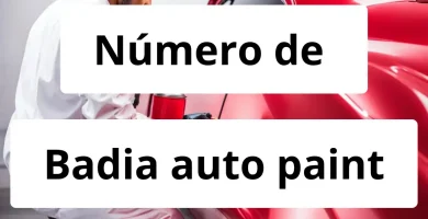 Numero de vendedor de pintura automotriz Badia auto paint