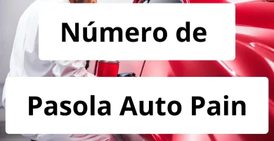 Numero de vendedor de pintura automotriz Pasola Auto Pain