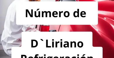 Numero de vendedor de pintura automotriz D`Liriano Refrigeración