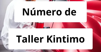 Numero de vendedor de pintura automotriz Taller Kintimo