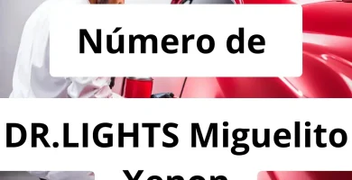 Numero de vendedor de pintura automotriz DR.LIGHTS Miguelito Xenon