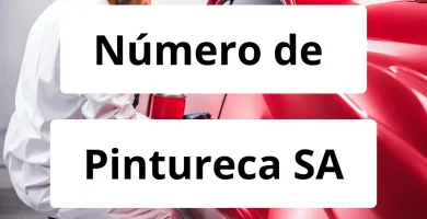 Numero de vendedor de pintura automotriz Pintureca SA