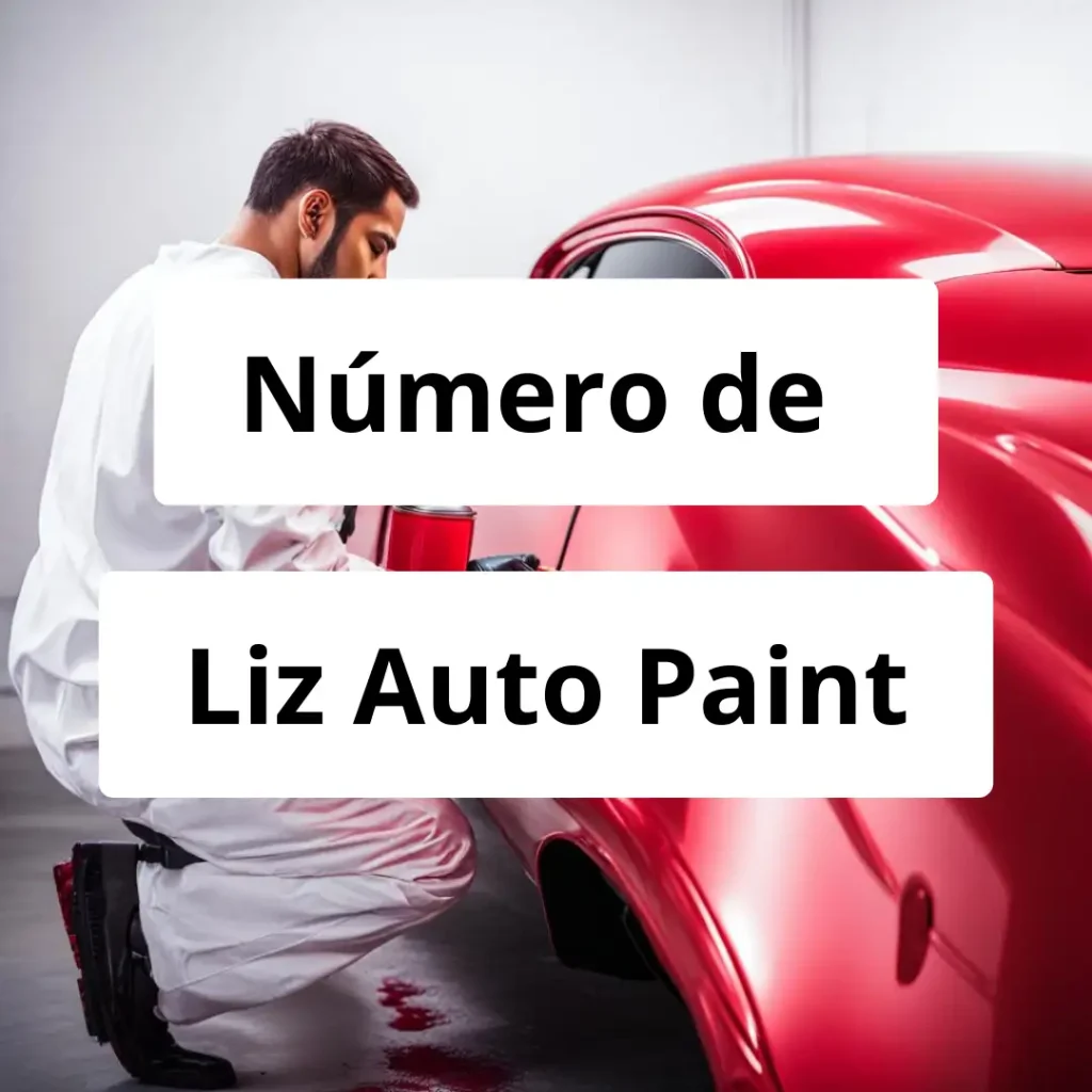 Numero de vendedor de pintura automotriz Liz Auto Paint