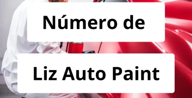 Numero de vendedor de pintura automotriz Liz Auto Paint