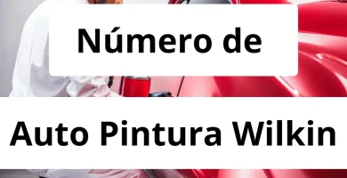 Numero de vendedor de pintura automotriz Auto Pintura Wilkin