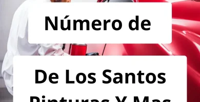 Numero de vendedor de pintura automotriz De Los Santos Pinturas Y Mas