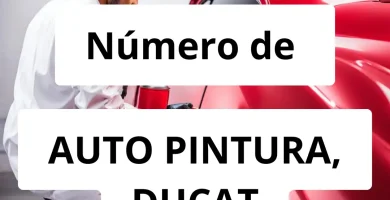 Numero de vendedor de pintura automotriz AUTO PINTURA, DUCAT AUTOSERVICES