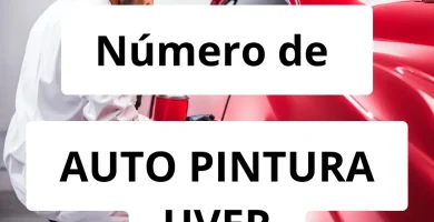 Numero de vendedor de pintura automotriz AUTO PINTURA UVER