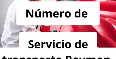 Numero de vendedor de pintura automotriz Servicio de transporte Raymon, Mantenimiento, Reparación y Pintura Automotriz