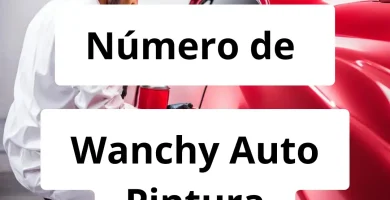 Numero de vendedor de pintura automotriz Wanchy Auto Pintura