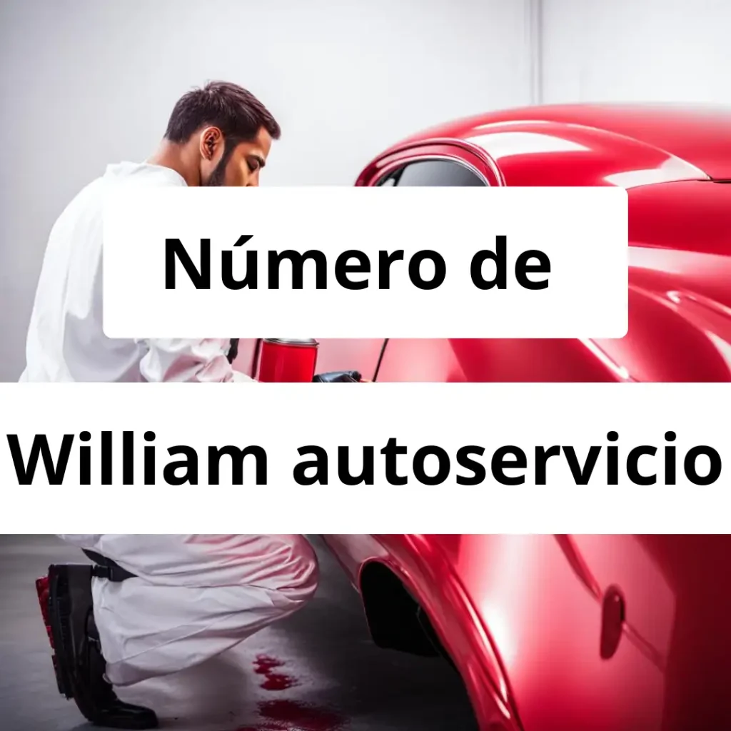 Numero de vendedor de pintura automotriz William autoservicio