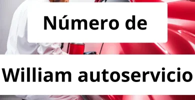 Numero de vendedor de pintura automotriz William autoservicio