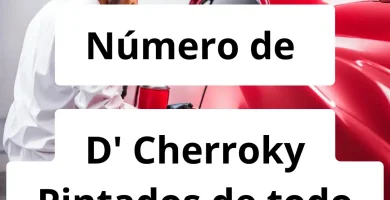 Numero de vendedor de pintura automotriz D' Cherroky Pintados de todo tipo de vehículos
