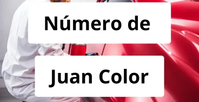 Numero de vendedor de pintura automotriz Juan Color