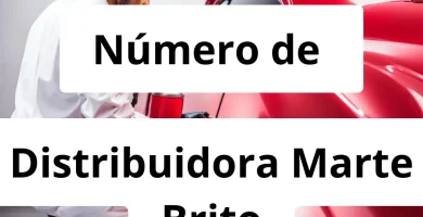 Numero de vendedor de pintura automotriz Distribuidora Marte Brito