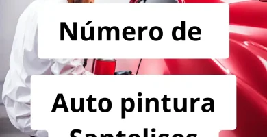 Numero de vendedor de pintura automotriz Auto pintura Santelises