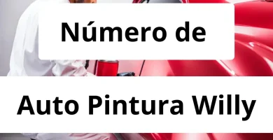 Numero de vendedor de pintura automotriz Auto Pintura Willy