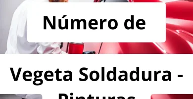 Numero de vendedor de pintura automotriz Vegeta Soldadura - Pinturas