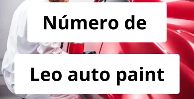 Numero de vendedor de pintura automotriz Leo auto paint