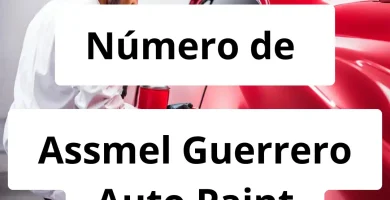 Numero de vendedor de pintura automotriz Assmel Guerrero Auto Paint