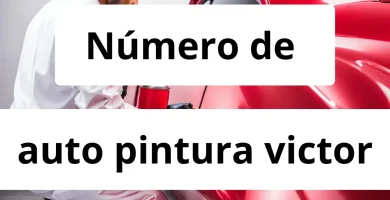 Numero de vendedor de pintura automotriz auto pintura victor