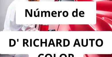 Numero de vendedor de pintura automotriz D' RICHARD AUTO COLOR