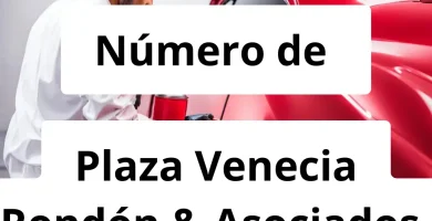 Numero de vendedor de pintura automotriz Plaza Venecia Rondón & Asociados, SRL