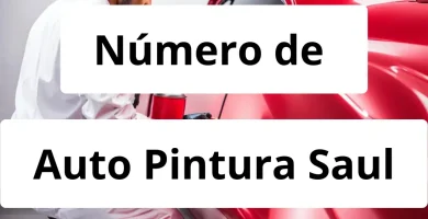 Numero de vendedor de pintura automotriz Auto Pintura Saul