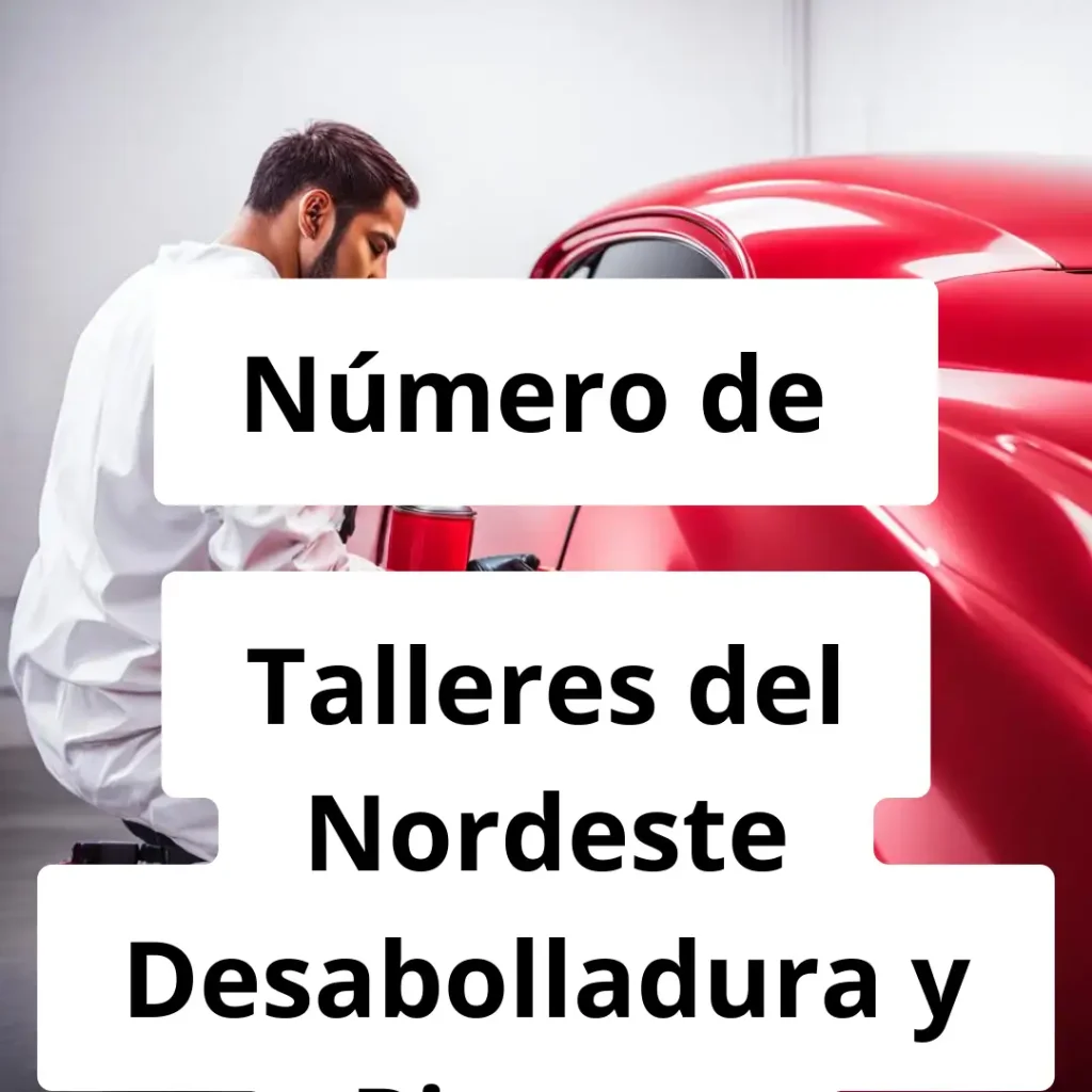Numero de vendedor de pintura automotriz Talleres del Nordeste Desabolladura y Pintura