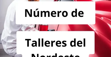 Numero de vendedor de pintura automotriz Talleres del Nordeste Desabolladura y Pintura