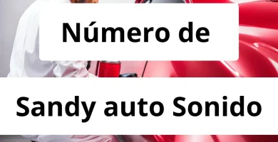 Numero de vendedor de pintura automotriz Sandy auto Sonido