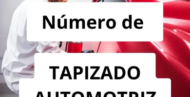 Numero de vendedor de pintura automotriz TAPIZADO AUTOMOTRIZ ANYOVI GENAO